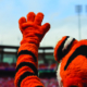 The Tiger, waving