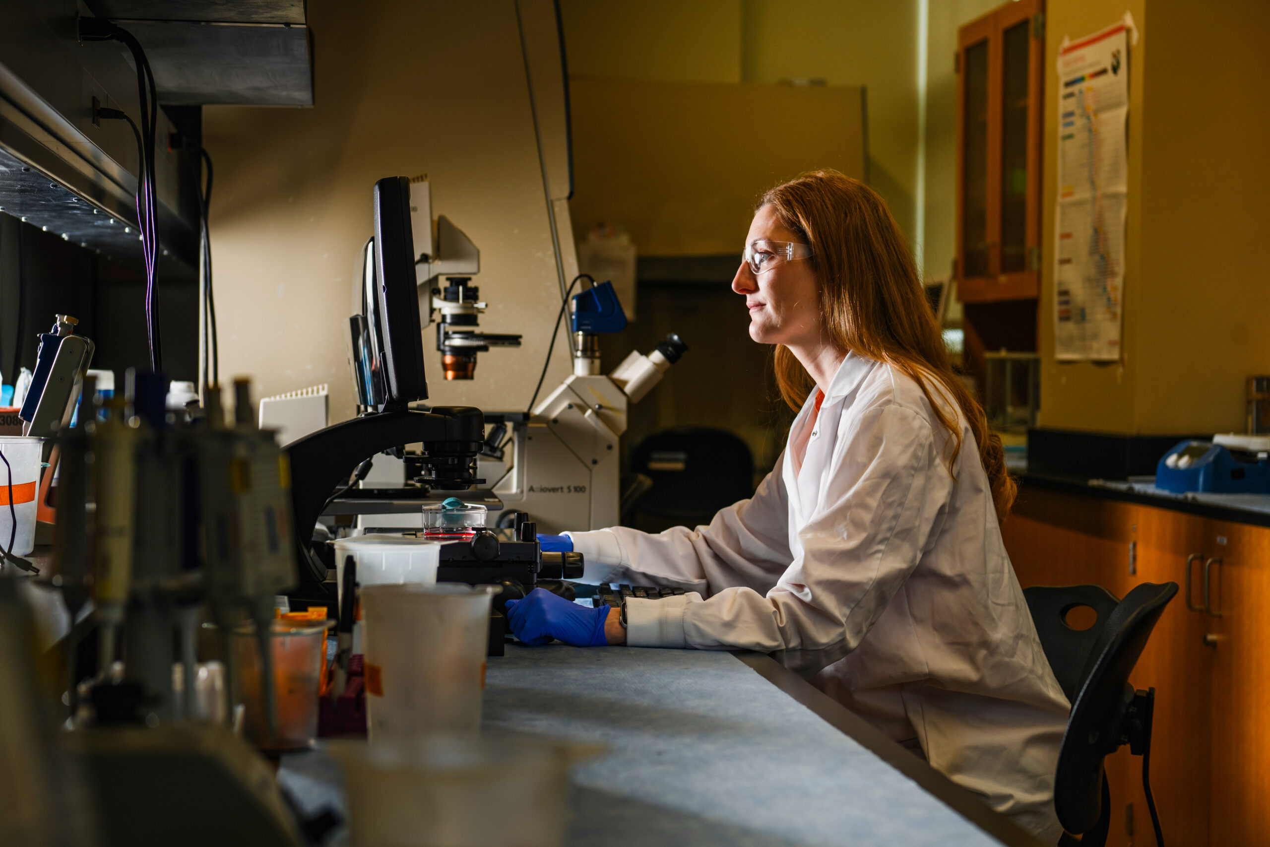 Engineering in Motion – Clemson World Magazine